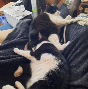 Meet your Posher, Brad